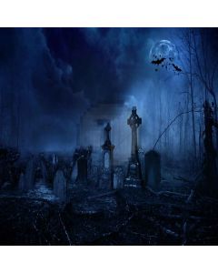 Dark Forest Computer Printed Photography Backdrop LMG-465