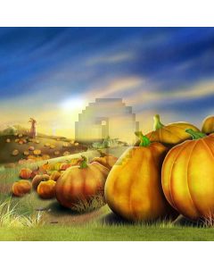 Autumn Pumpkins Computer Printed Photography Backdrop LMG-466