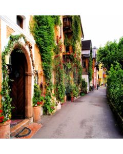 Road Arch Plant Flower Computer Printed Photography Backdrop LMG-706