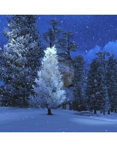 Snow Tree Computer Printed Photography Backdrop LMG-722