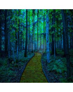 Brick Road Tree Grass Computer Printed Photography Backdrop LMG-738