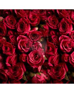 Flower Red Rose Computer Printed Photography Backdrop LMG-779