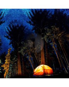 Tree Camp Computer Printed Photography Backdrop LMG-805