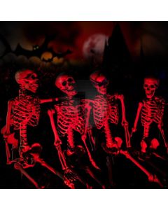 Halloween Ghost Computer Printed Photography Backdrop LMG-825