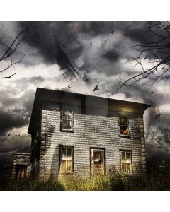 House Bat Computer Printed Photography Backdrop LMG-827