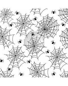 Spider Web Computer Printed Photography Backdrop LMG-835