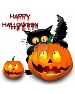 Halloween Pumpkin Lamp Computer Printed Photography Backdrop LMG-839
