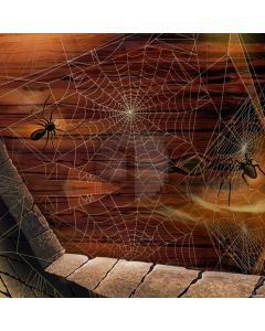 Spider Web Computer Printed Photography Backdrop LMG-854
