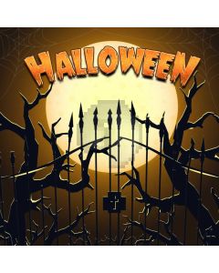 Halloween Ghost Computer Printed Photography Backdrop LMG-904
