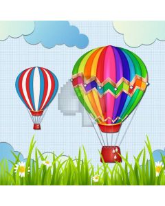 Ballon Grass Computer Printed Photography Backdrop LMG-912