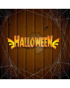 Spider Web Floor Computer Printed Photography Backdrop LMG-920
