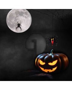 Moon Pumpkin Lantern Computer Printed Photography Backdrop LMG-943