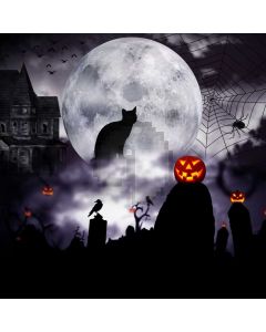 Cat Pumpkin Lantern Spider Web Moon Computer Printed Photography Backdrop LMG-964