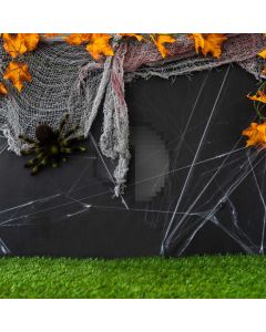 Spider Web Leaves Computer Printed Photography Backdrop LMG-966