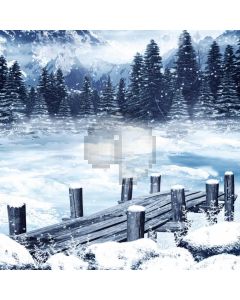 Tree Snow Bridge Computer Printed Photography Backdrop LMG-991