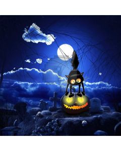 Cat Halloween Pumpkin Lantern Computer Printed Photography Backdrop LMG-992