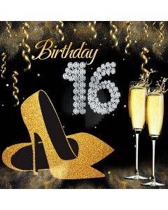 Birthday Party 16Th Bottle Computer Printed Photography Backdrop MSL-140