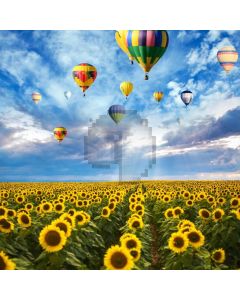 Nature Sun Flower Balloons Computer Printed Photography Backdrop MSL-159