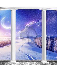 Snow Pillar Cypress Computer Printed Photography Backdrop MSL-175