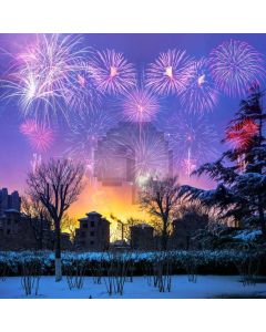 Snow Fireworks House Computer Printed Photography Backdrop MSL-176