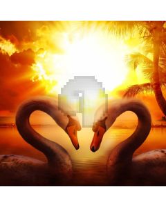 Beautiful Swan Strong Sun Light Computer Printed Photography Backdrop MSL-207