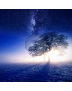 Starnight Tree Mist Computer Printed Photography Backdrop MSL-210