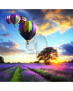 Lavendor Artificial Balloon Sun Computer Printed Photography Backdrop MSL-218