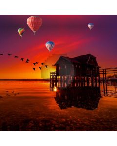 Lake Balloom House Birds Computer Printed Photography Backdrop MSL-219