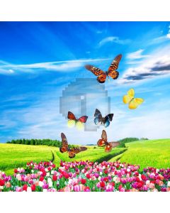 Butterfly Farmland Tulip Sky Computer Printed Photography Backdrop MSL-240