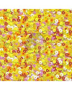 Chrysanthemum Flower Computer Printed Photography Backdrop MSL-241