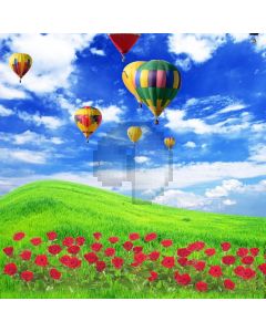 Grassland Hot Air Balloon Rose Computer Printed Photography Backdrop MSL-257
