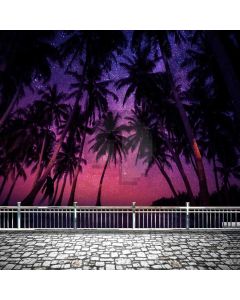 Seaside Palm Tree Night Computer Printed Photography Backdrop MSL-274