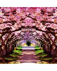 Cherry Flower Some Grass Computer Printed Photography Backdrop MSL-282