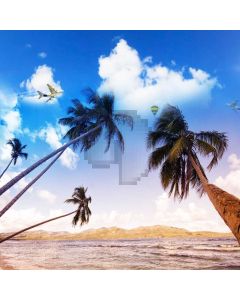 Seaside Palm Tree Sea Cloud Computer Printed Photography Backdrop MSL-283