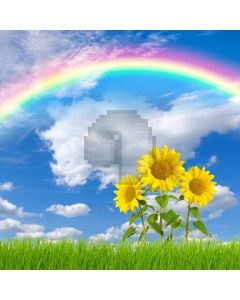 Sunflower Rainbow Grassland Computer Printed Photography Backdrop MSL-301
