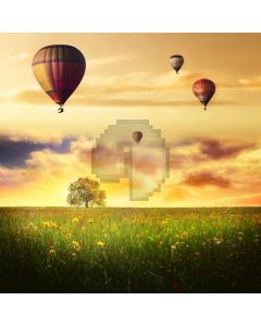 Balloon Grass Branches Computer Printed Photography Backdrop MSL-308