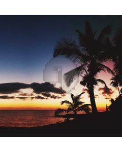 Palm Tree Sunset Waves Computer Printed Photography Backdrop MSL-312