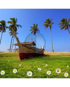 Ship Daisy Palm Tree Windy Day Computer Printed Photography Backdrop MSL-313