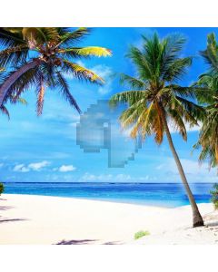Palm Tree Blue Sea Trunk Computer Printed Photography Backdrop MSL-316