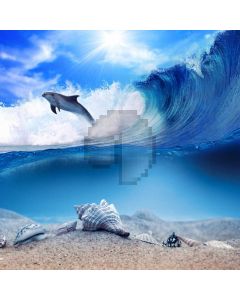 Shell Sea Dolphin Sunlight Computer Printed Photography Backdrop MSL-319
