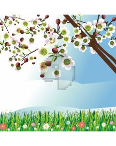 Flower Pear Tree Spring Computer Printed Photography Backdrop MSL-325