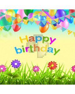 Birthday Party Balloon Flags Grass Computer Printed Photography Backdrop MSL-349