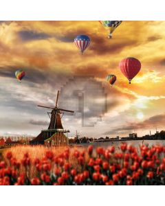 Windmill Tulip Balloons Computer Printed Photography Backdrop MSL-355