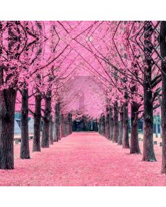 Flower Pink Blossom Tree Computer Printed Photography Backdrop MSL-387