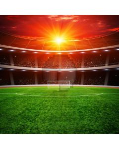Sports Arena Game Place Computer Printed Photography Backdrop MSL-393