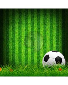 A Ball Grassland Green Wall Computer Printed Photography Backdrop MSL-401