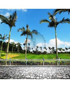 Palm Tree Cloud Rail Grassland Computer Printed Photography Backdrop MSL-405