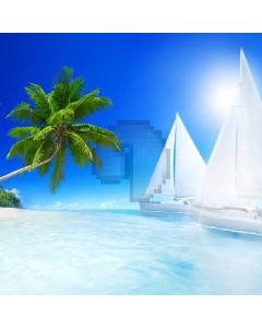 Seaside Ship Palm Tree Sea Computer Printed Photography Backdrop MSL-410