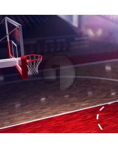Basketball Court Computer Printed Photography Backdrop MSL-426