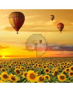 Balloons Sunflower Sunset Computer Printed Photography Backdrop MSL-431